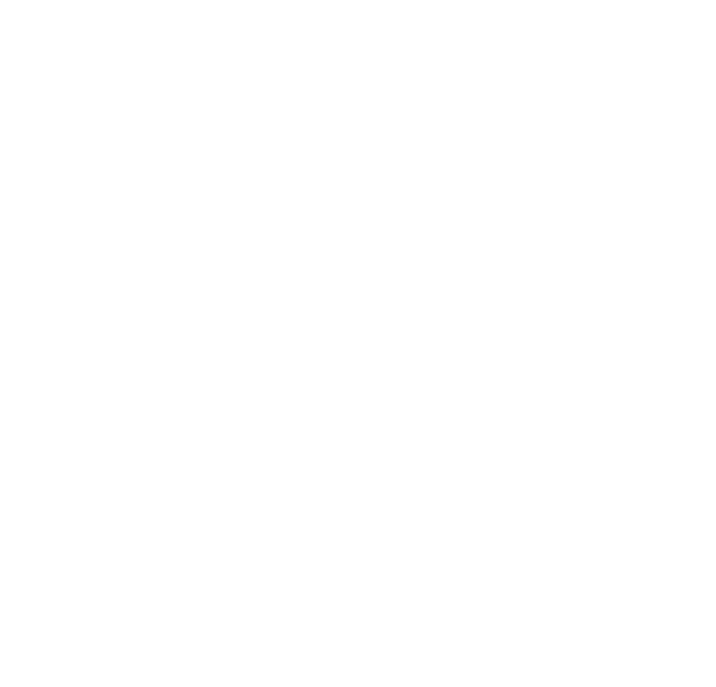 Lyon Experience
